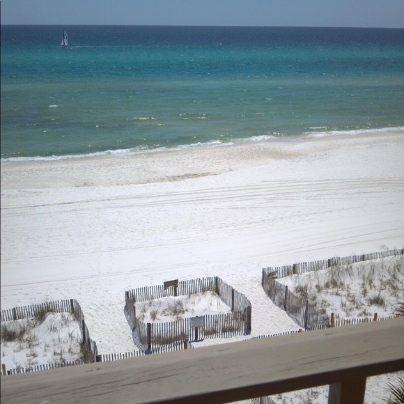 Meet your Posher, Dana - Picture 4 of 16